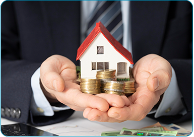 Asset Ownership and Protection