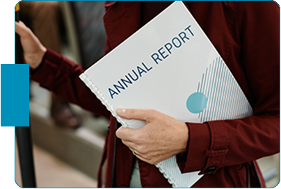 File the Annual Report
