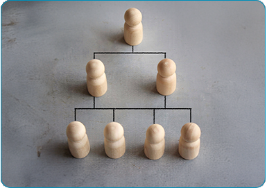 Flexible Ownership Structure