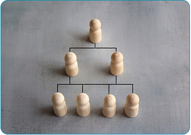 Flexible Ownership Structure
