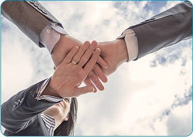 Flexible Ownership Structures