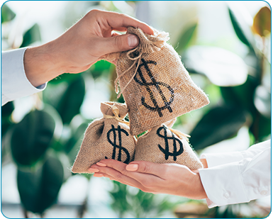 Flexible Profit Distribution