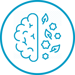 Gives You Peace of Mind