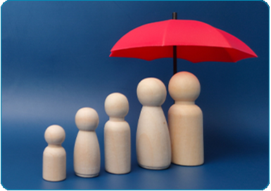 Personal Asset Protection