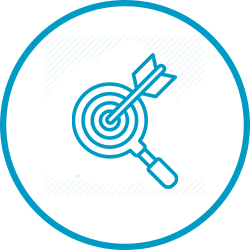 Professional Accuracy and Review