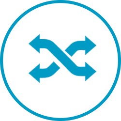 Professional Management Structure