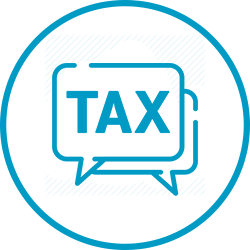 Professional Tax Support