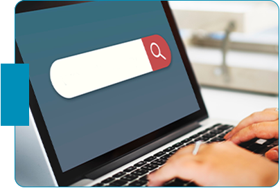 Reserve a Domain and Business Name