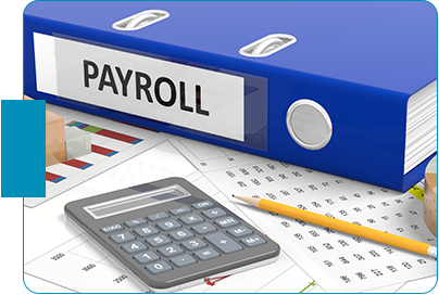 Set Up Business Accounting and Payroll Systems