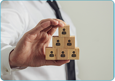 Simplified Management Structure